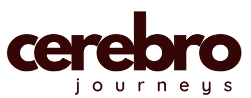 Cerebro Journeys